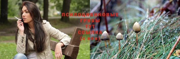а пвп мука Алексеевка