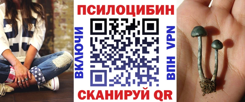 Галлюциногенные грибы прущие грибы  купить наркотики сайты  Октябрьск 